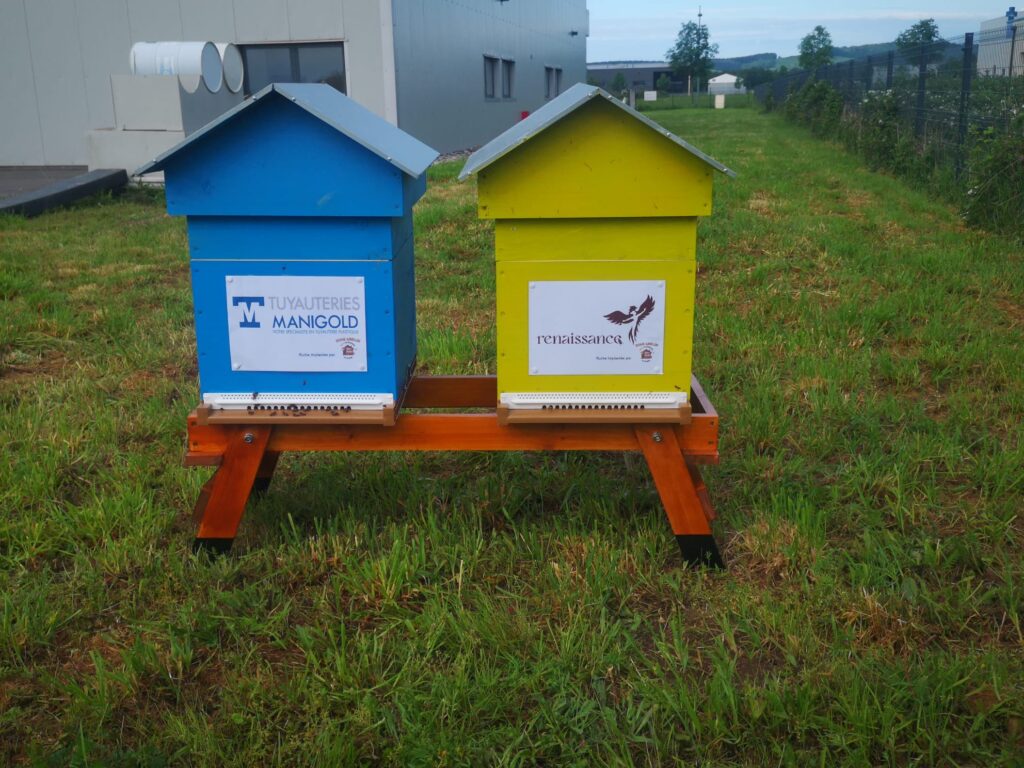 Deux ruches Home Abeilles peintes aux couleurs des entreprises marraines, installées sur un terrain enherbé