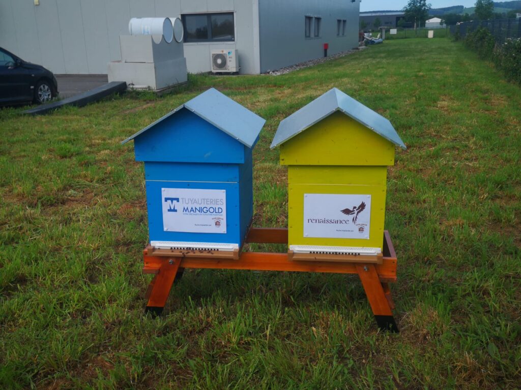 Tuyauteries Manigold & Renaissance, ruches installées en entreprise