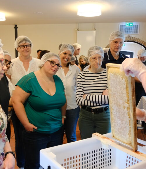 avec e&r consultants (11)