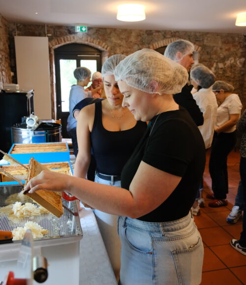 avec e&r consultants (15)