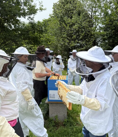 avec e&r consultants (2)