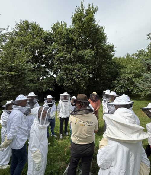 avec e&r consultants (3)