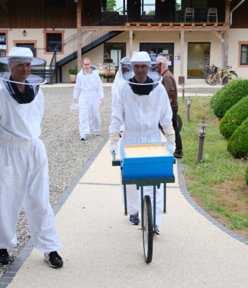 avec e&r consultants (9)