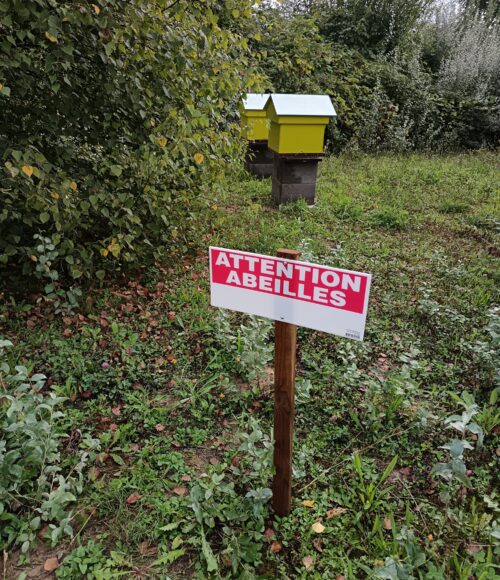 casino barrière blotzheim (11)