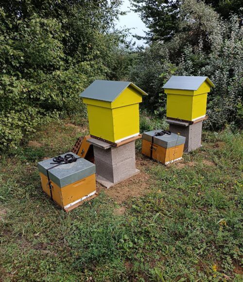 casino barrière blotzheim (3)