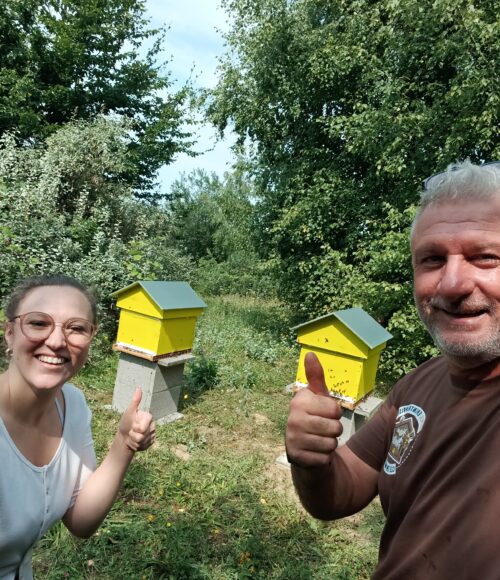 casino barrière blotzheim (4)