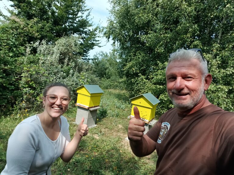 Ruche installée dans les espaces verts du Casino Barrière de Blotzheim