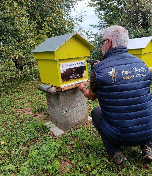 casino barrière blotzheim (6)