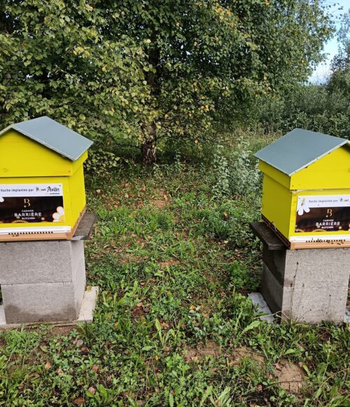 casino barrière blotzheim (8)