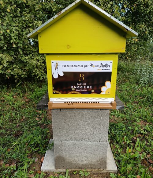 casino barrière blotzheim (9)