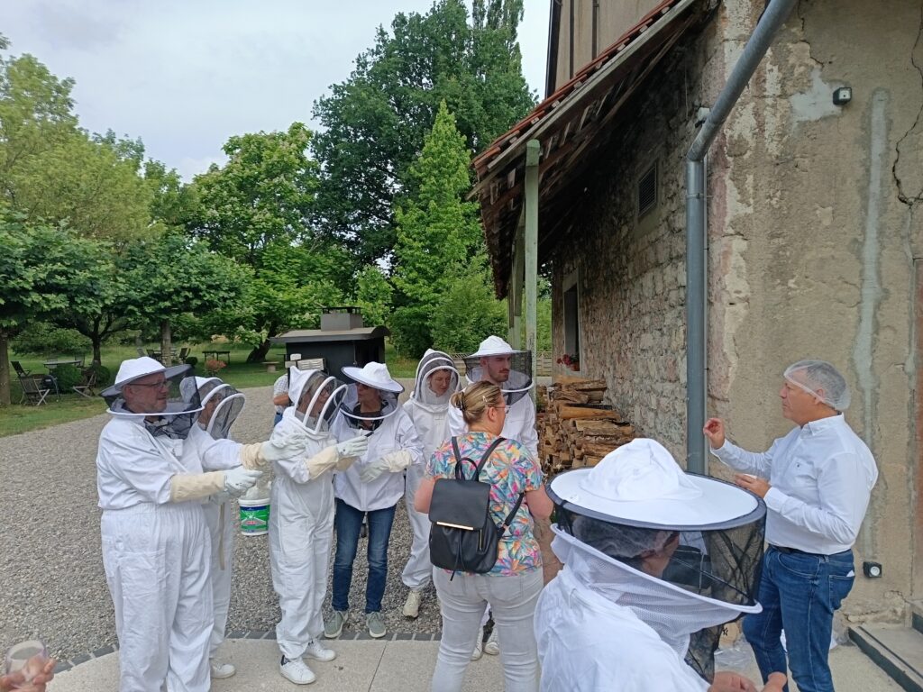 extraction e&r (4)