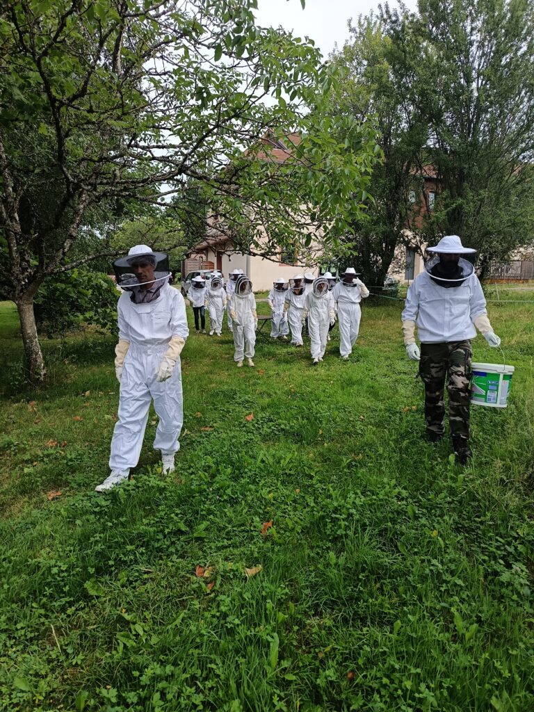 extraction e&r (7)