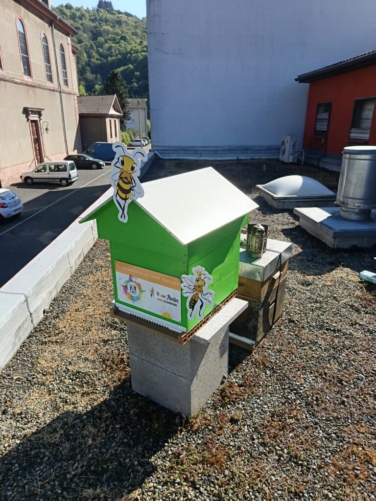 installation ruche partenariat apicole 1