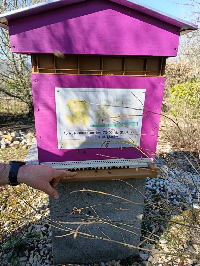 installation ruche partenariat apicole 2