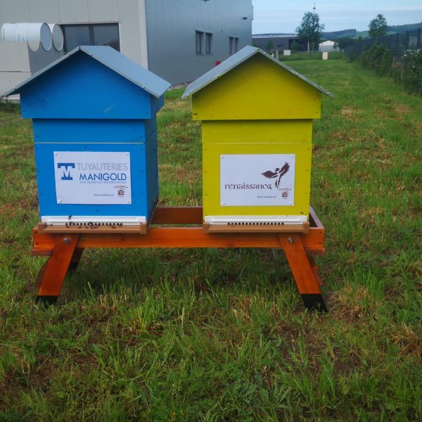 Home Abeilles Ruche clé en main (19)