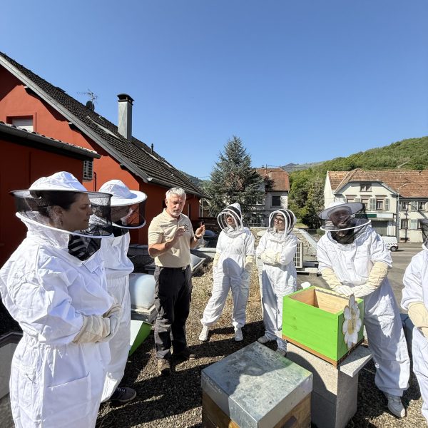atelier pedagogique 1