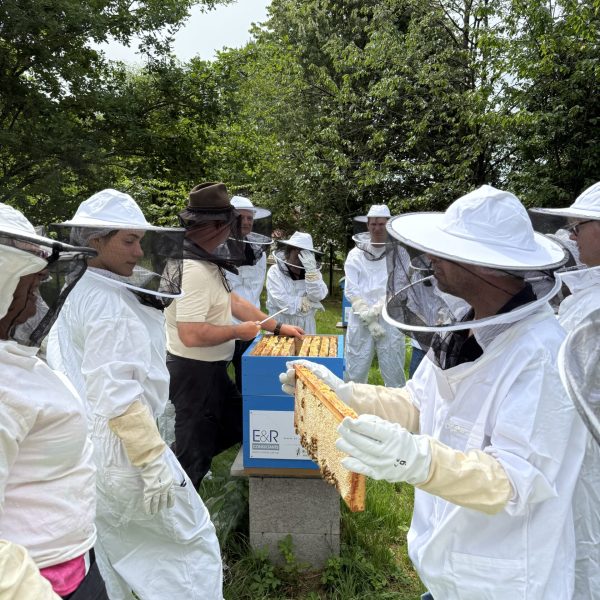 atelier pedagogique 4