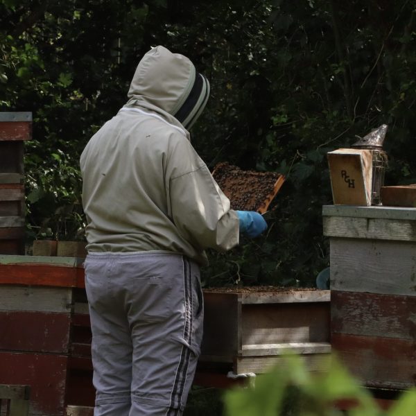 beekeeper-in-english-countryside-2023-11-27-05-06-38-utc