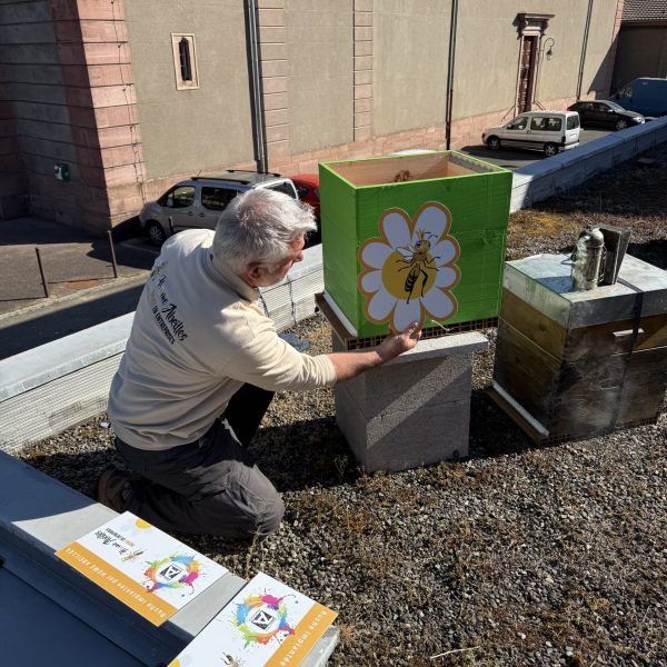 installation ruche clé en main en entreprise 2