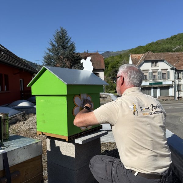 installation ruche clé en main en entreprise 3