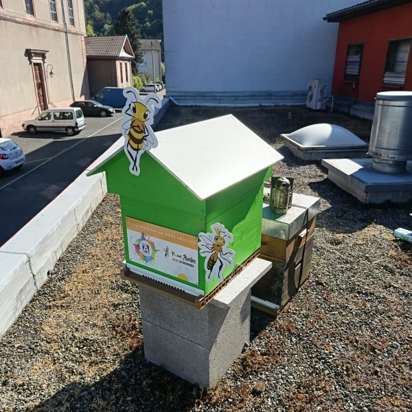 installation ruche partenariat apicole 1