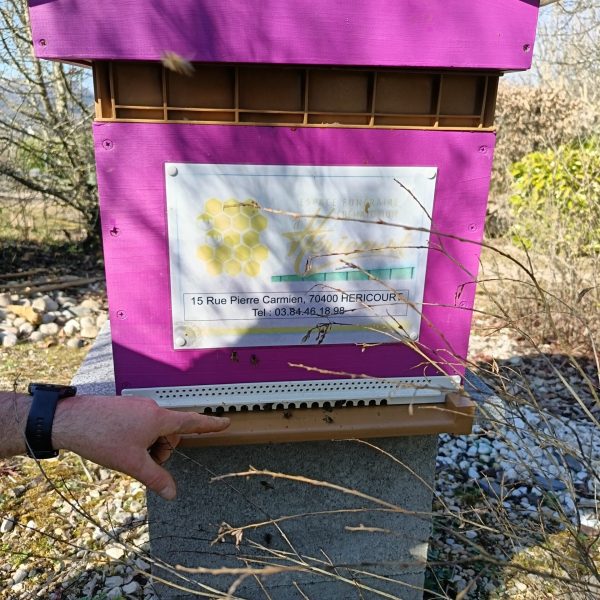 installation ruche partenariat apicole 2