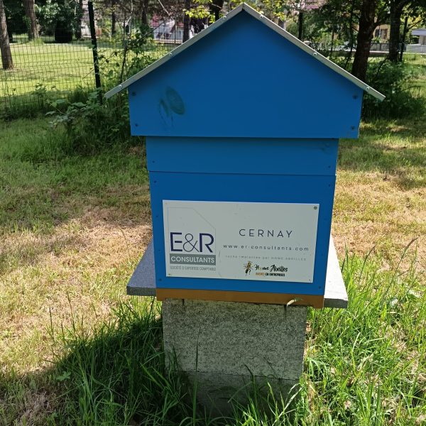 installation ruche partenariat apicole 3