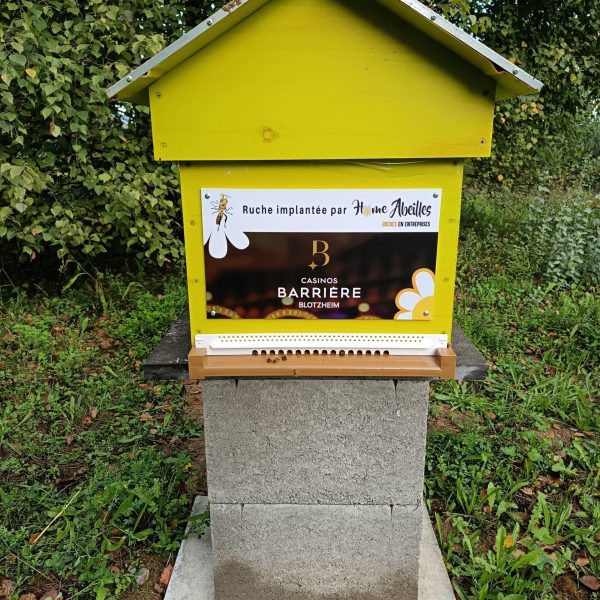 installation ruche partenariat apicole 4