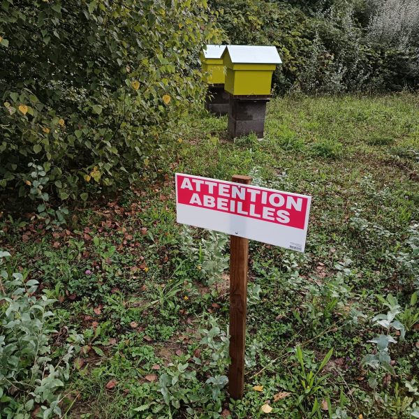 sécurité et gestion complete (2)