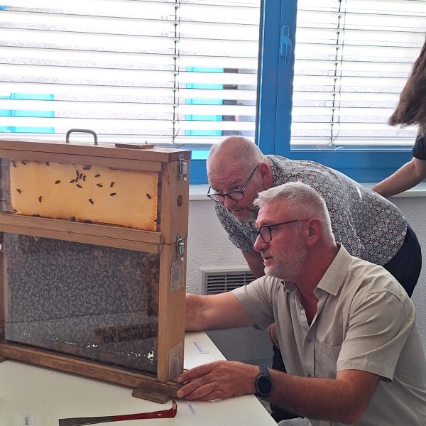 sécurité et gestion complete (3)