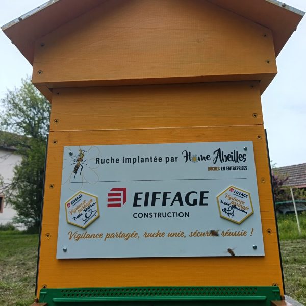 société eiffage (4)
